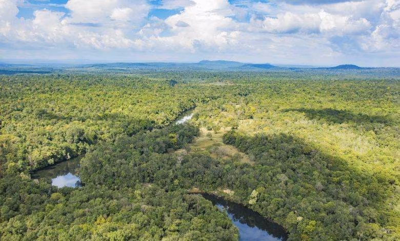 Trekking a Koh Kong & balneare