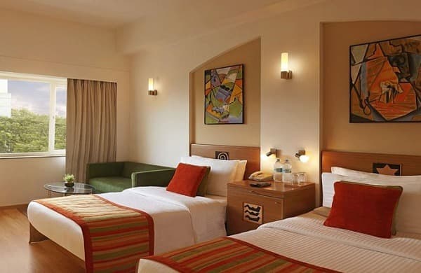 tree hotel deluxe room