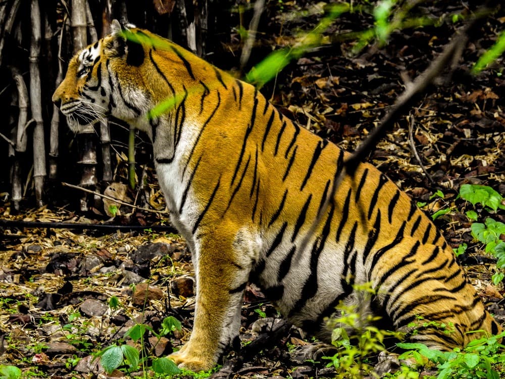 Parco nazionale di Van Vihar