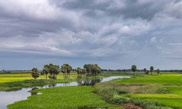 Gopalpur-on-Sea