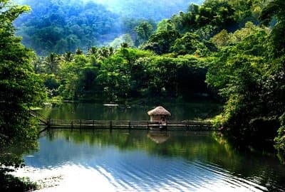 Thattekad Bird Sanctuary