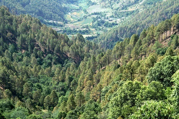 Uttarkashi