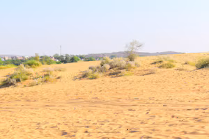Safari nelle Dune del Deserto del Thar (Jaisalmer)