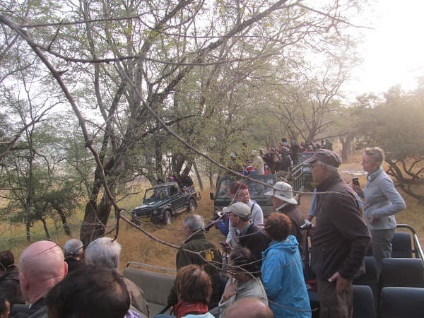 Guida il Periyar Jungle Jeep