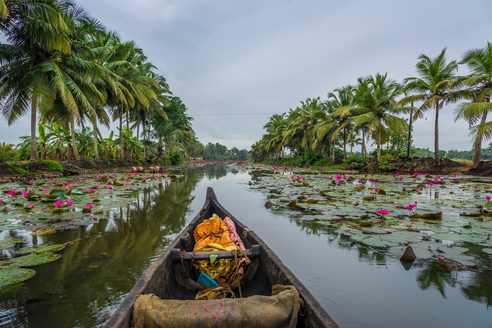 Viaggio in Kerala: i nostri imprescindibili