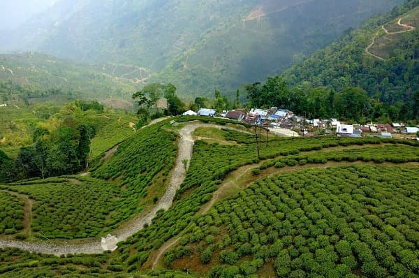 Cosa vedere e fare a Darjeeling?