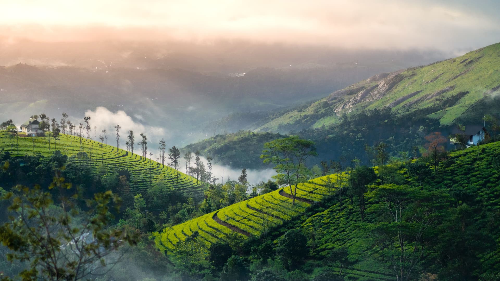 Kerala e Sud
