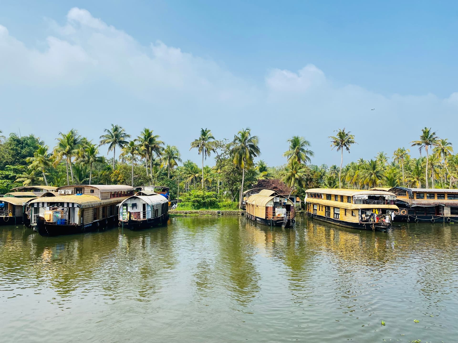 Gite in shikara ad Alappuzha (Alleppey)