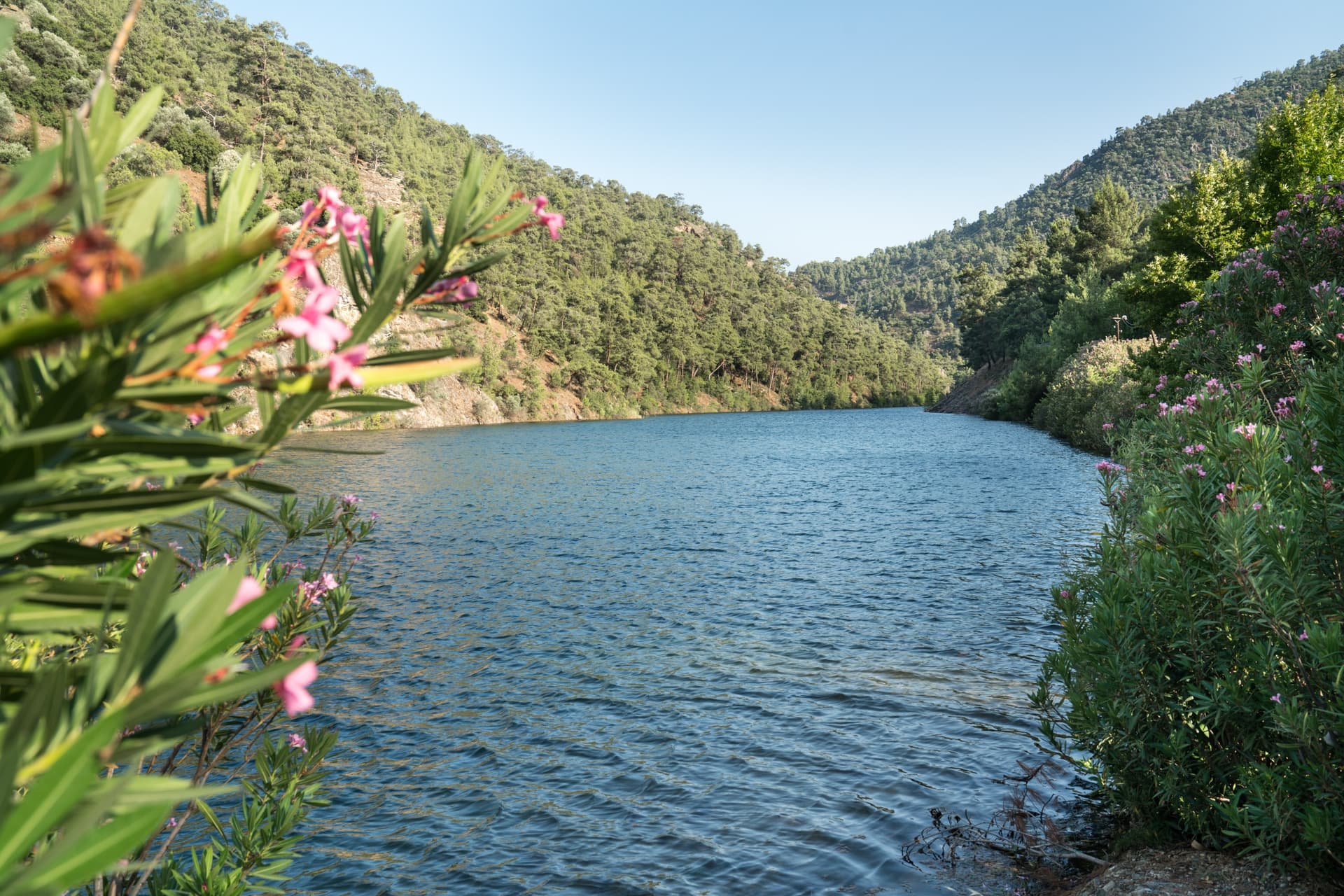 Lago Aiding